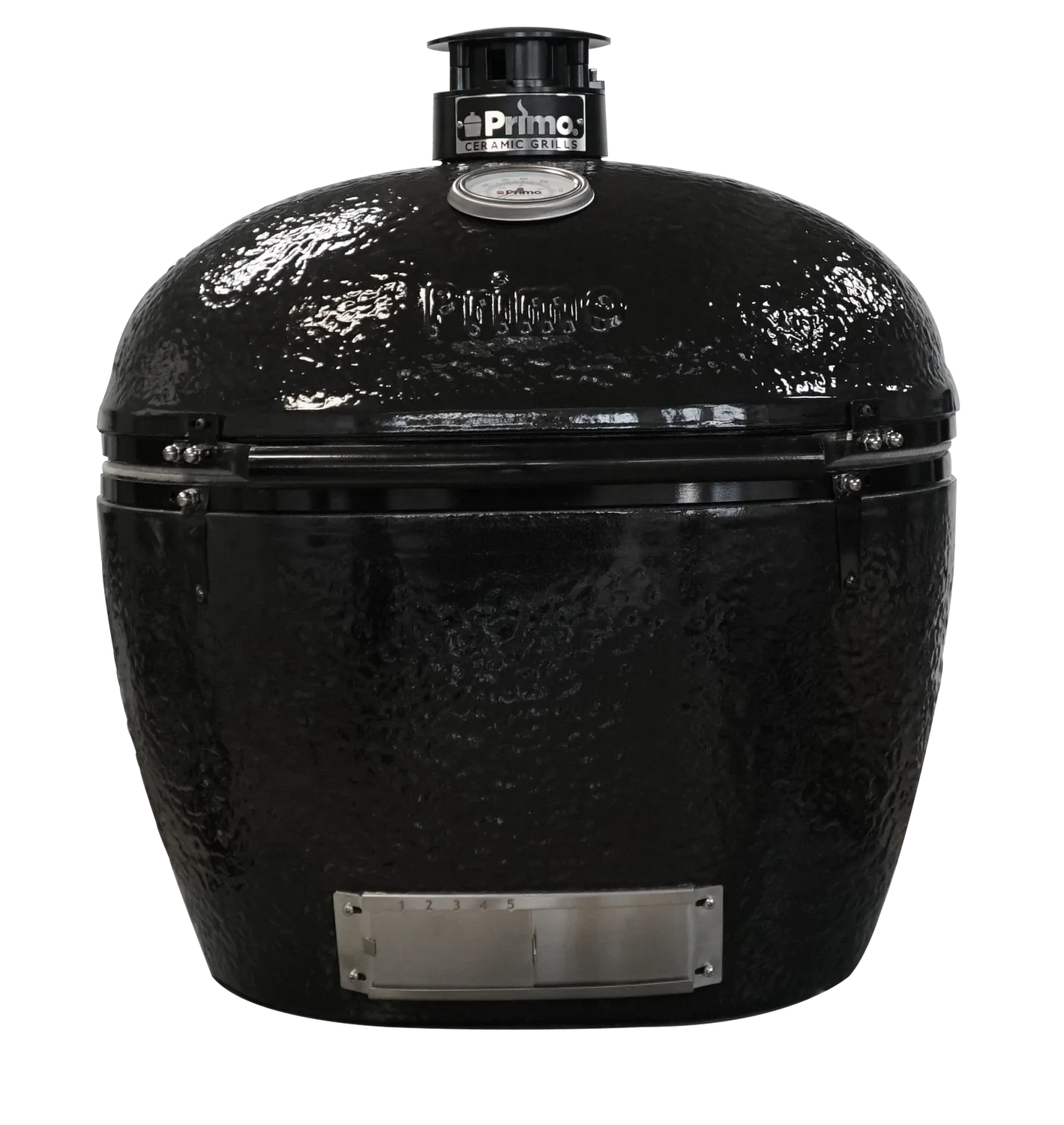 エリオシケ・パウキコスタータ + valiem DEEP-BRERO SMOKY エリオシケ